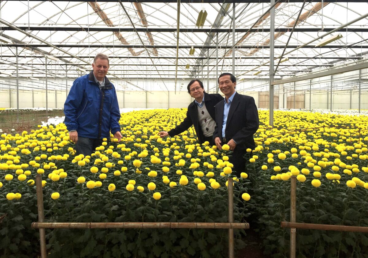 Exporting Dalat Hasfarms Fresh Flowers