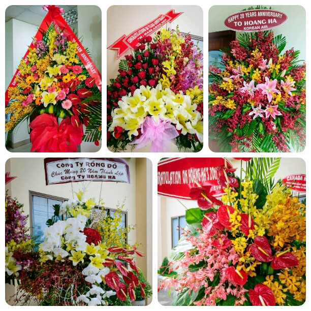 Hoang Ha 20 Year Milestone 2