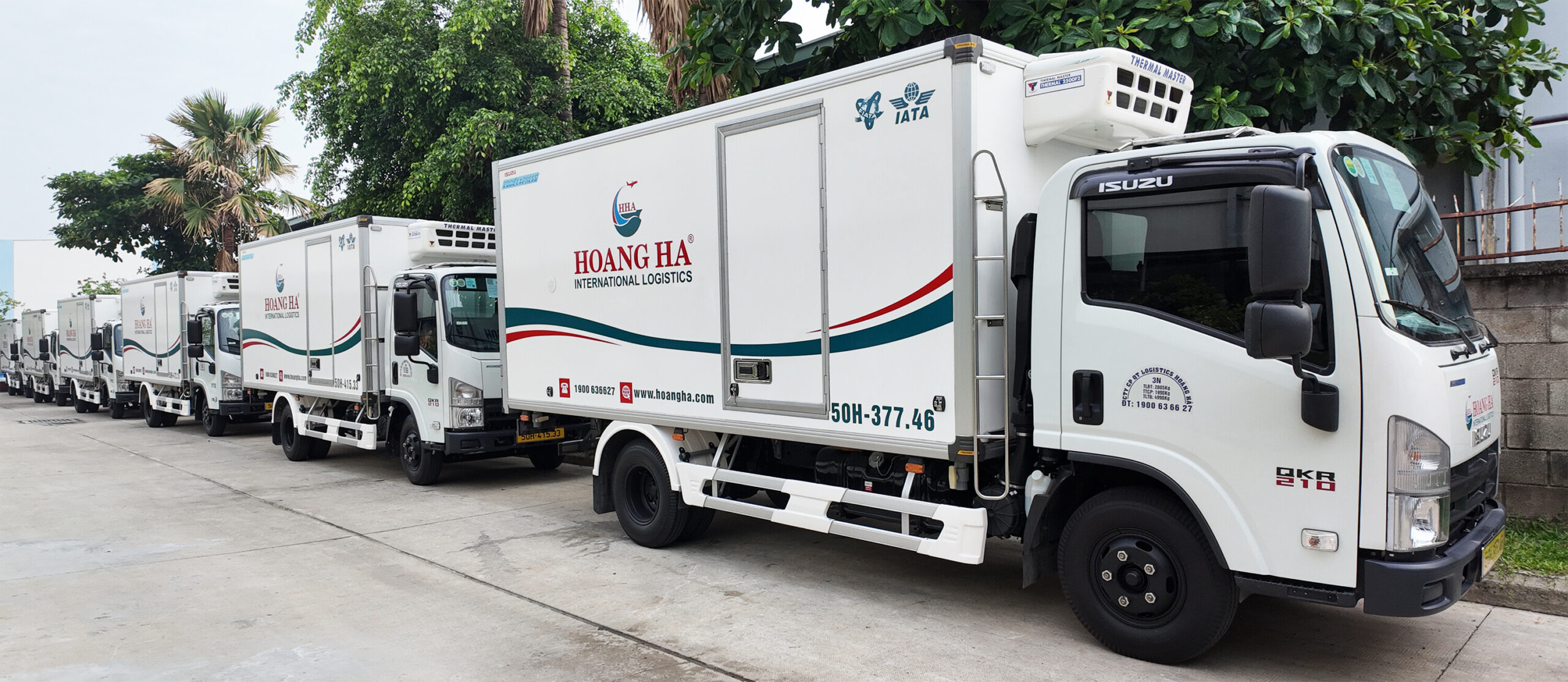 Hoangha Van Chuyen Mat Dat