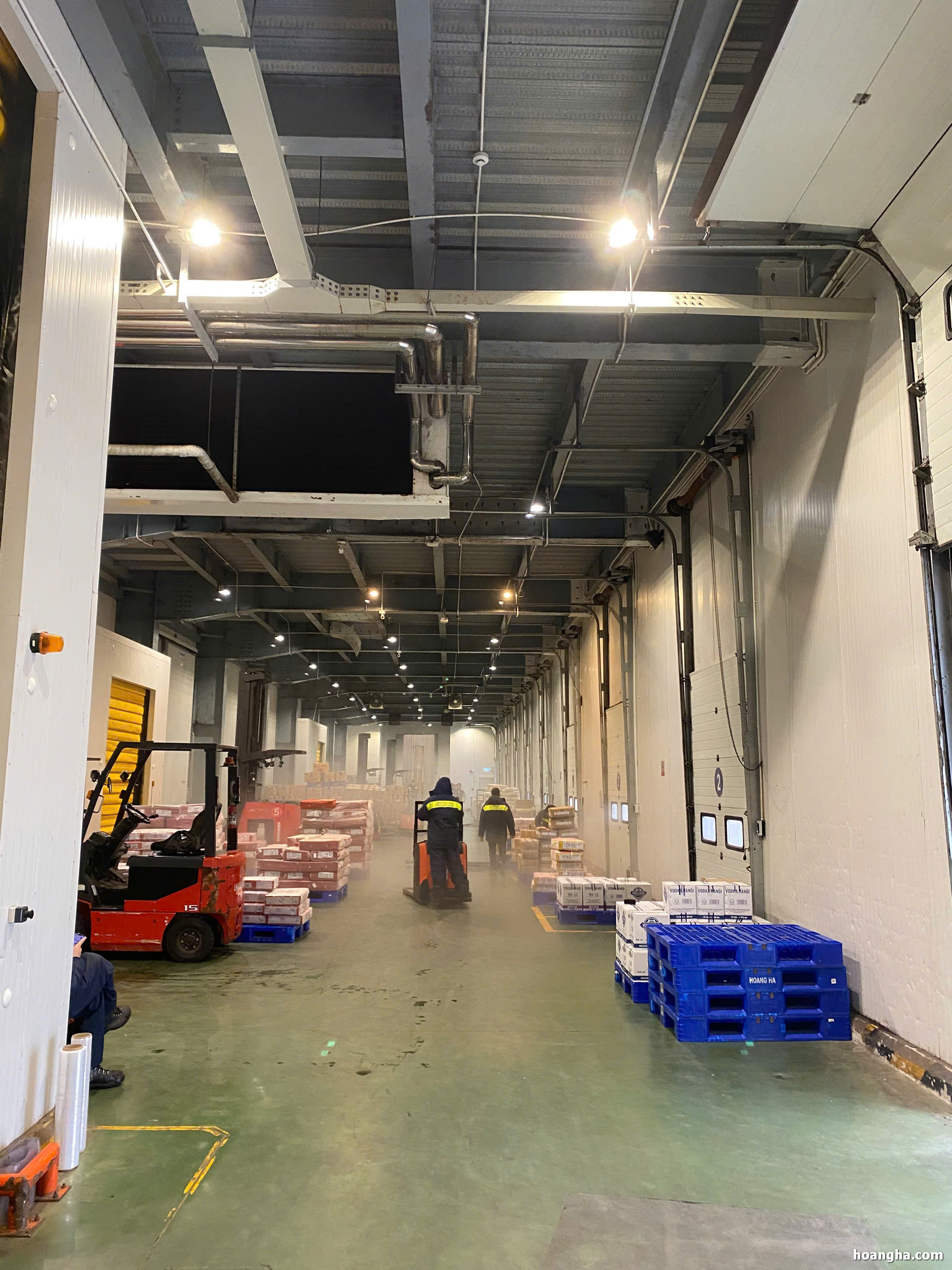 Cho Thuê Kho Lạnh tại TP. HCM, Sân Bay, Khu Công Nghiệp Tân Bình