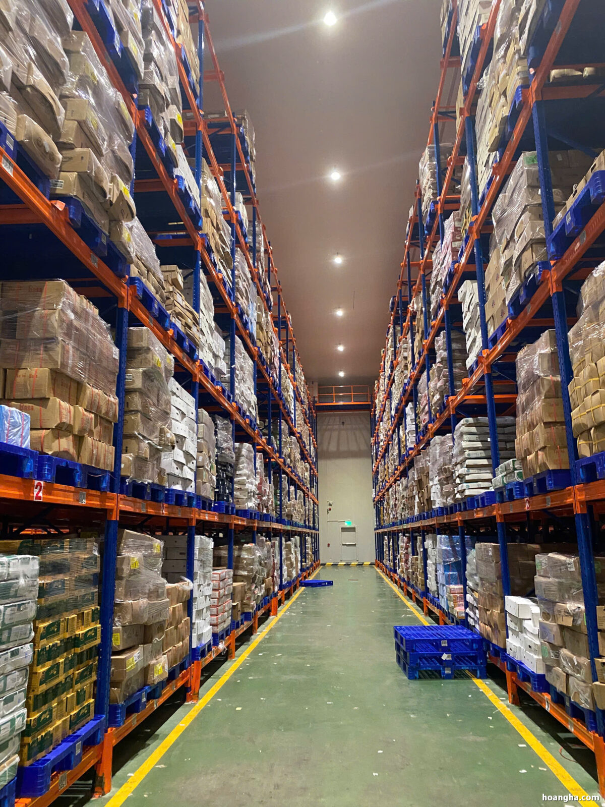 Cho Thuê Kho Lạnh tại HCM - Hình Ảnh Thực Tế Kho Lạnh Hoàng Hà