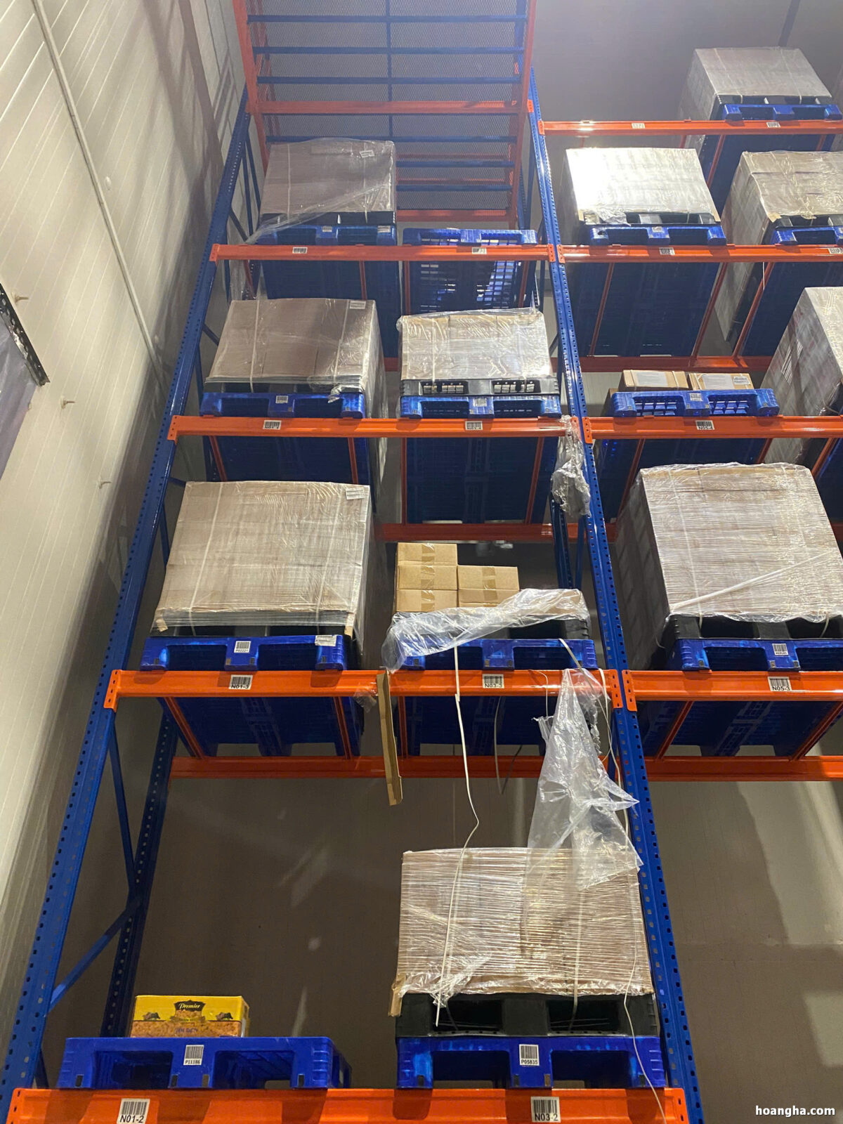 Cho Thuê Kho Lạnh Quận Bình Tân: Uy Tín, Chuyên Nghiệp | Hoàng Hà Logistics