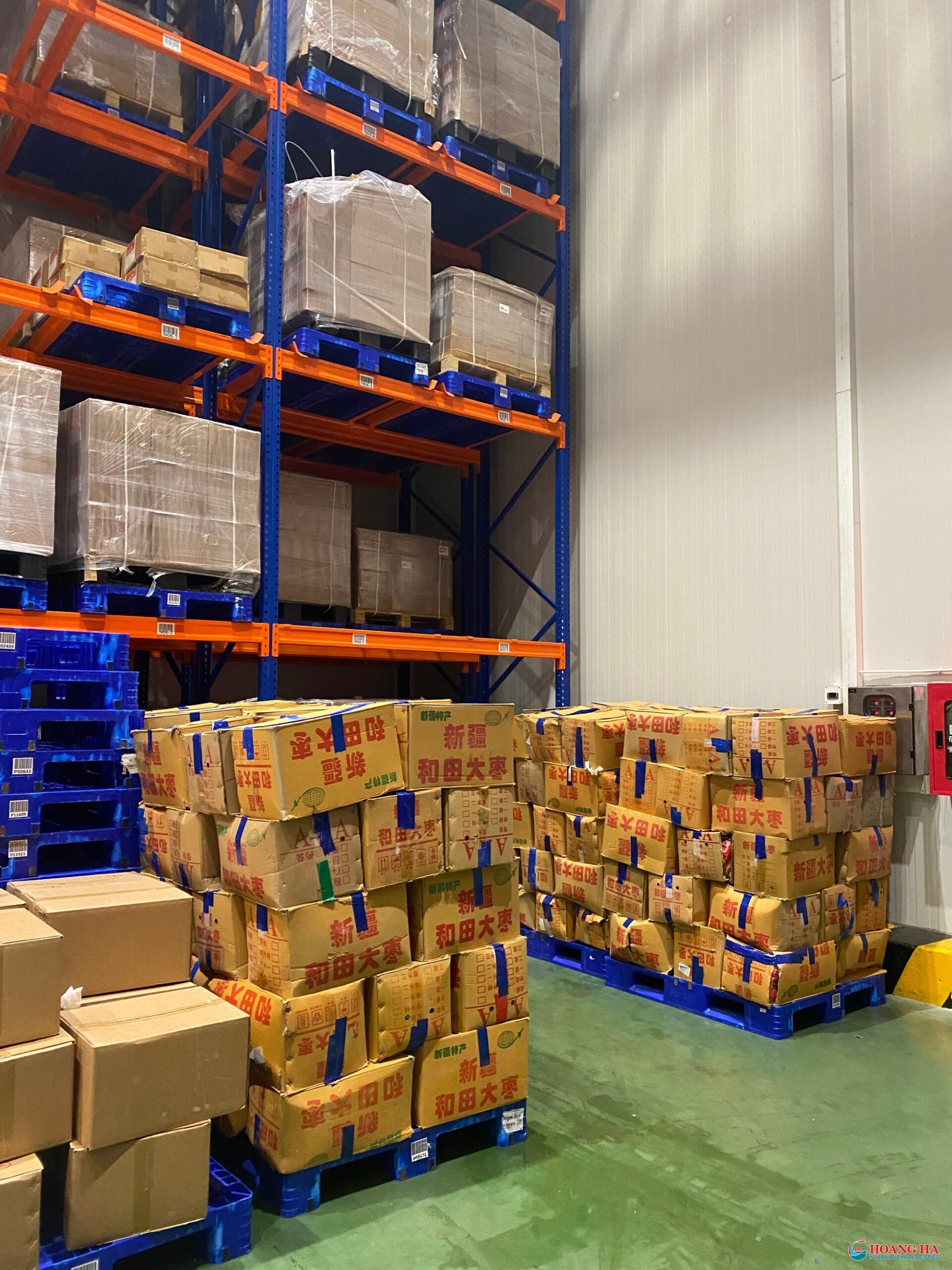 Top 9 Cong Ty Cho Thue Kho Lanh Hcm 02 Top 9 Cong Ty Cho Thue Kho Lanh Hcm 02