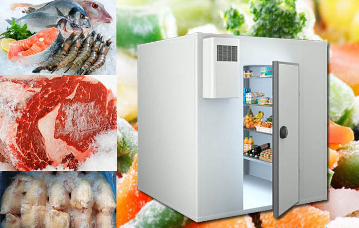 Cho Thue Kho Lanh 2 kho lạnh chế biến