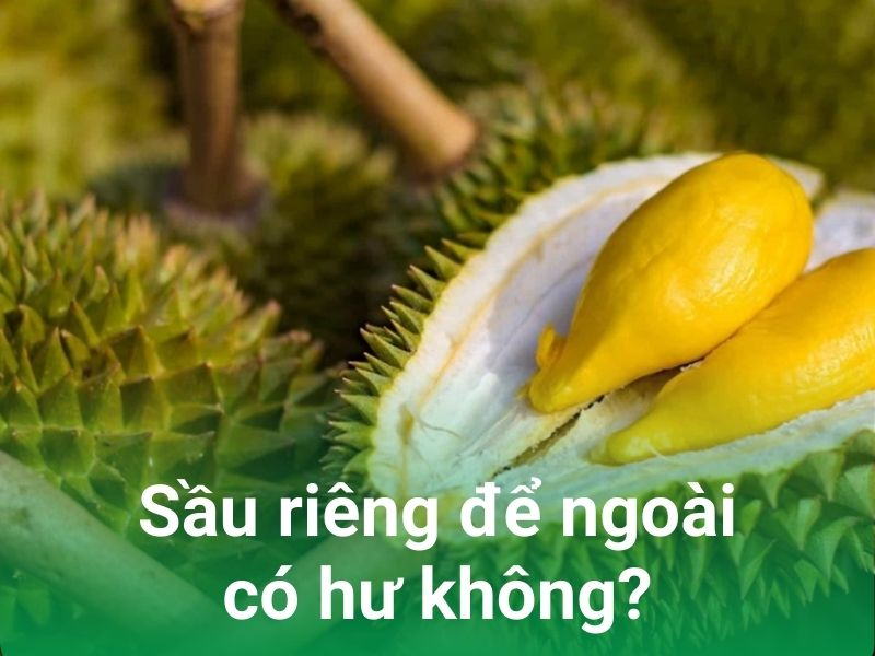 5 7 sau rieng de ngoai co hu khong