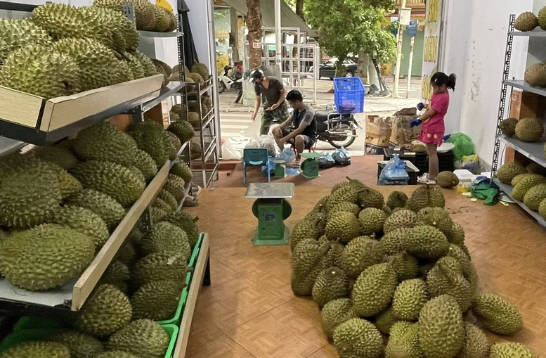 Sau Rieng Dong Lanh Xuat Khau Thong Tin Tieu Chuan Moi Nhat 2025 1 Vùng trồng sầu riêng đạt chuẩn xuất khẩu