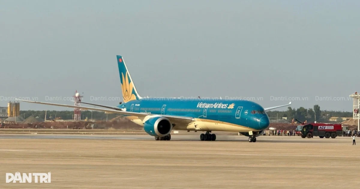 Lt02 Cropped 1765789560781